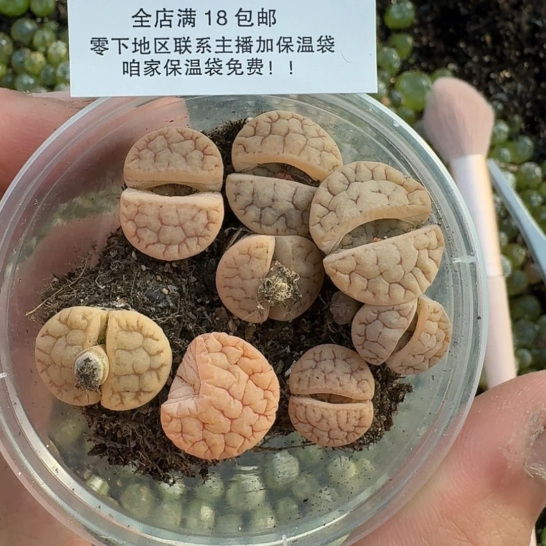 2654 哈哈哈哈哈哈哈哈哈