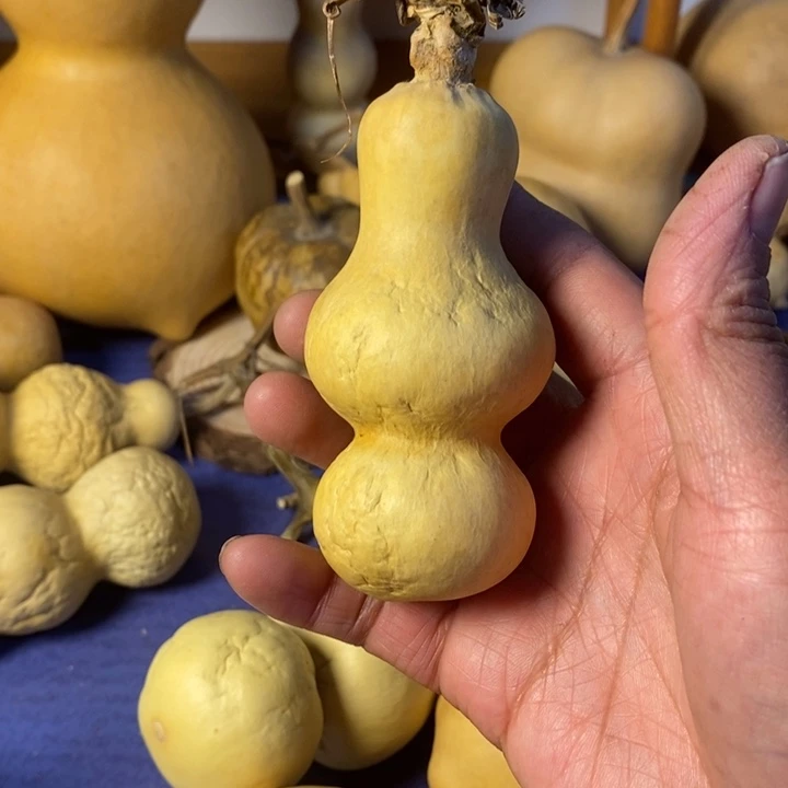 风***子异型葫芦手把件摆件葫芦