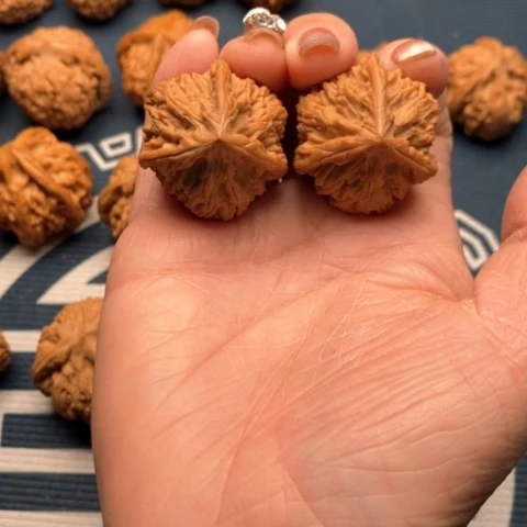 橄榄核手串/手链尚文山三棱