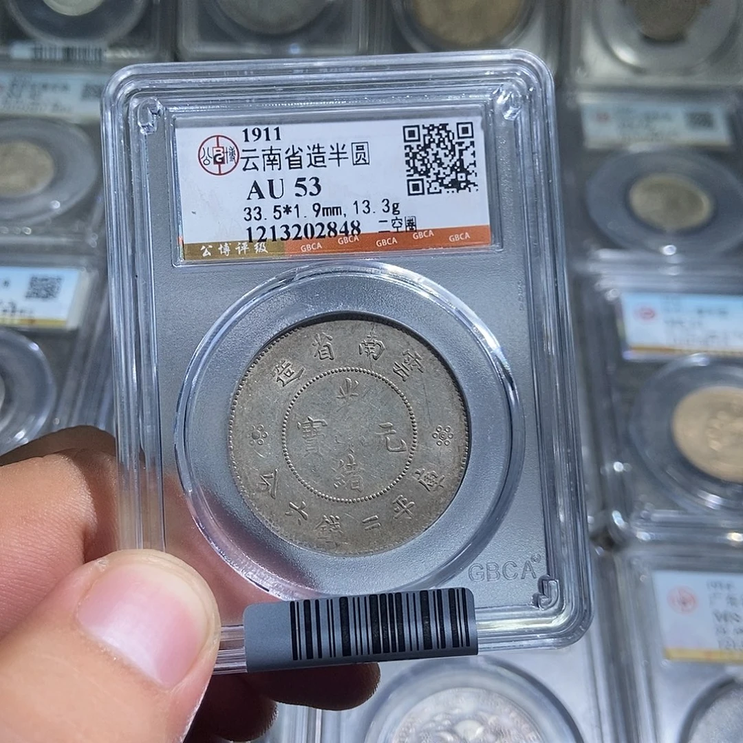 银大头云南半圆龙2848