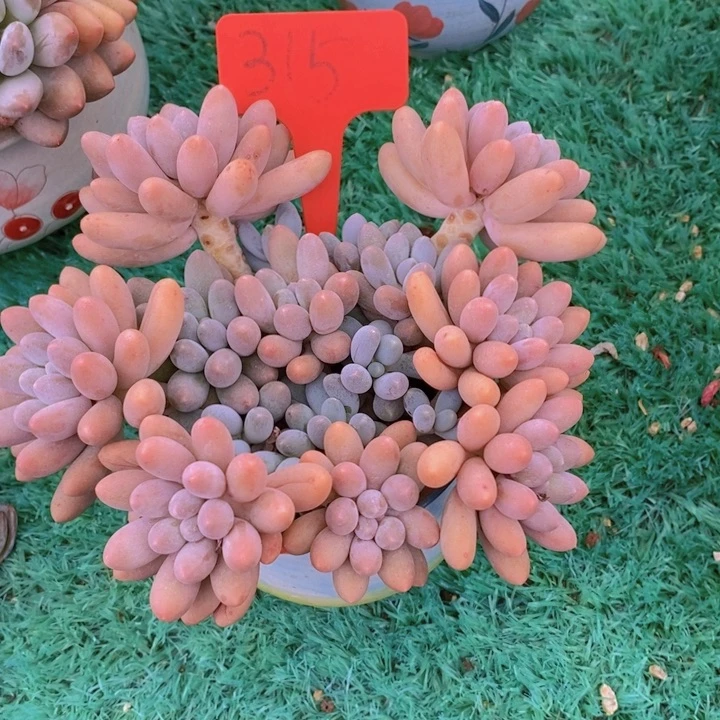 这么多事要等下星期