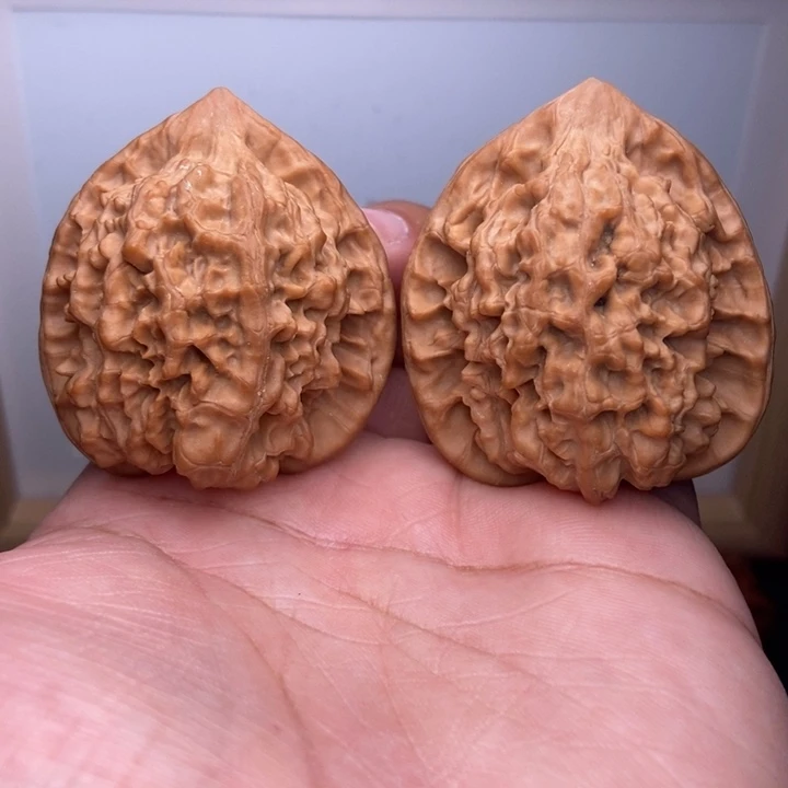 核桃全品小尺官帽