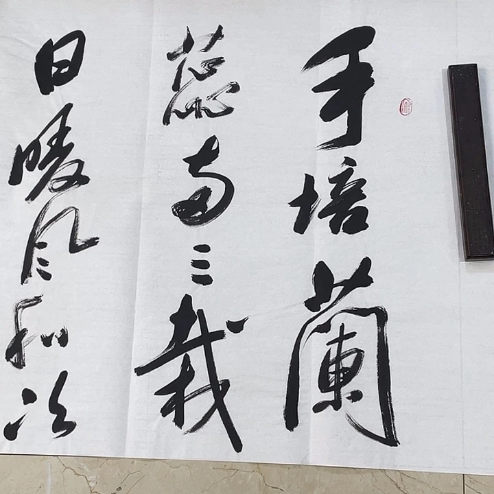 书法Lvqinzhenshufa