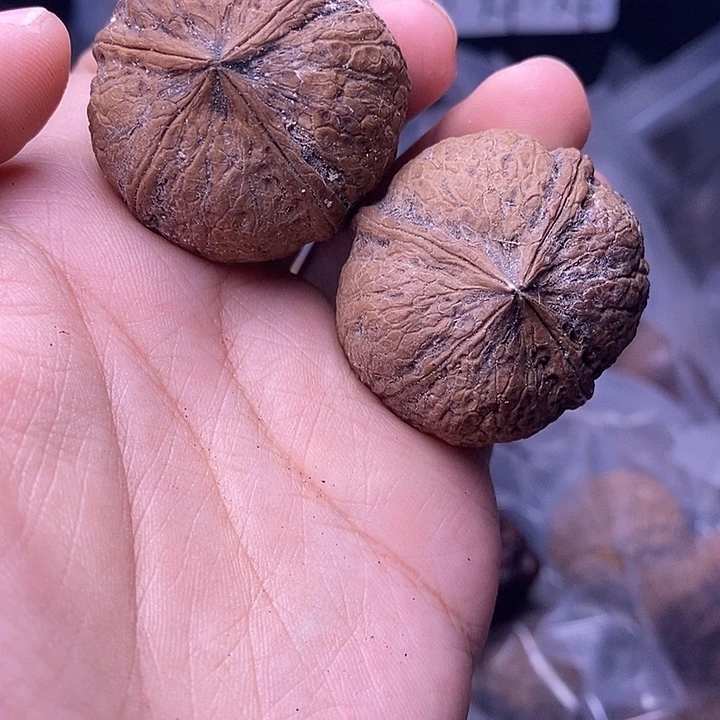 把件文玩核桃  43