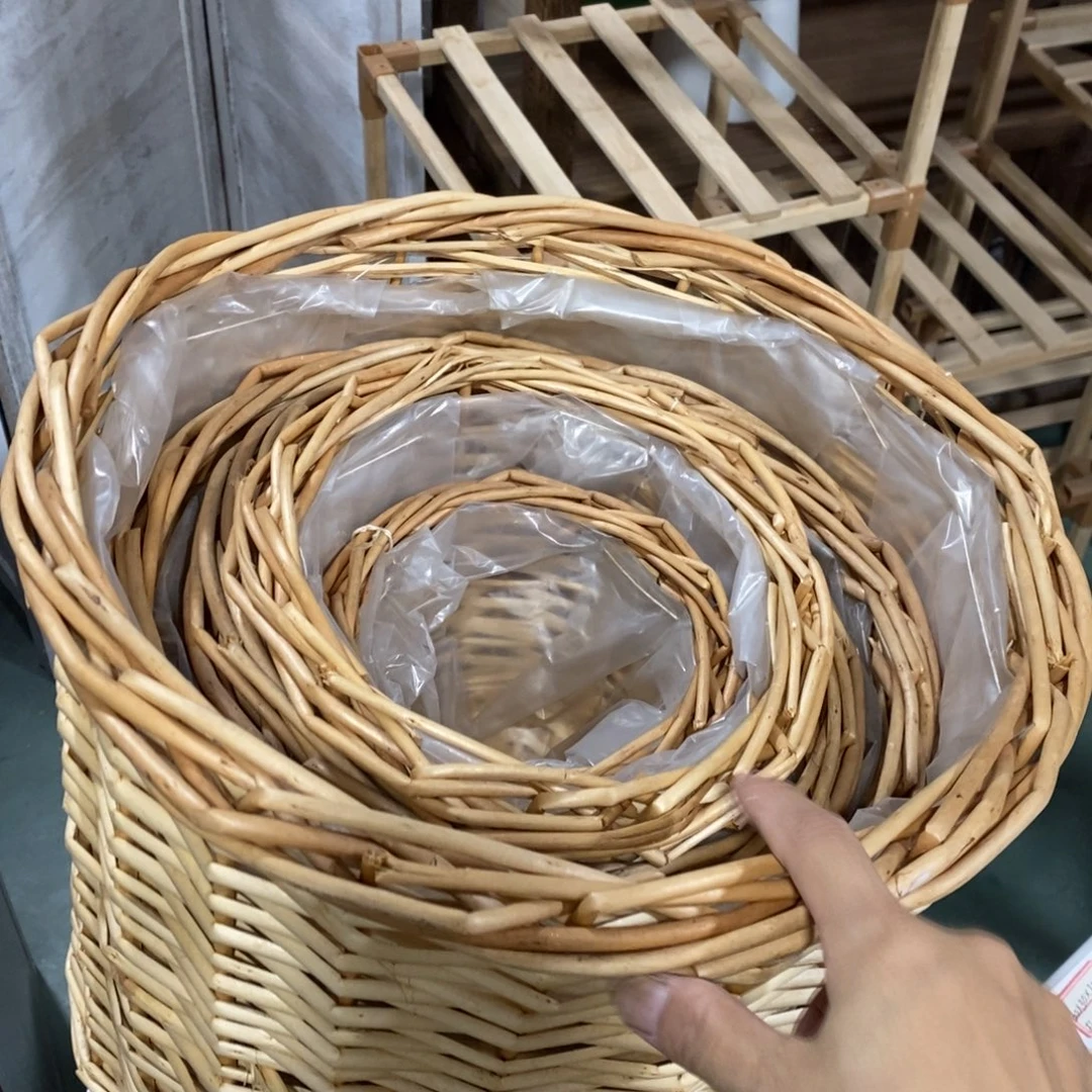 木这是编号0哈哈哈056