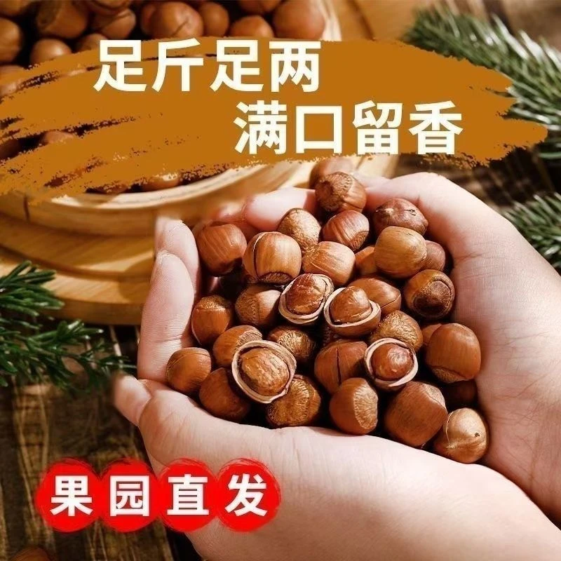 东北铁岭野山榛子（熟）中粒