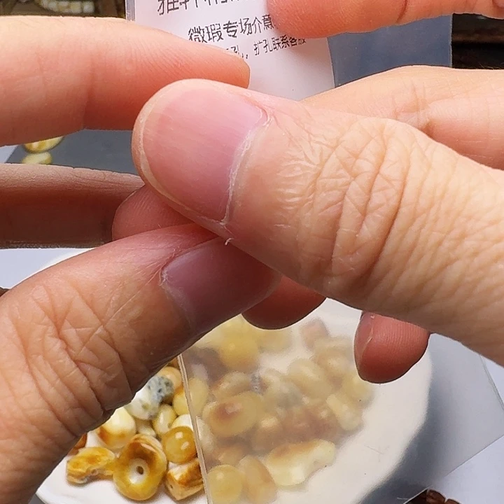 裸石琥珀未镶嵌琥珀