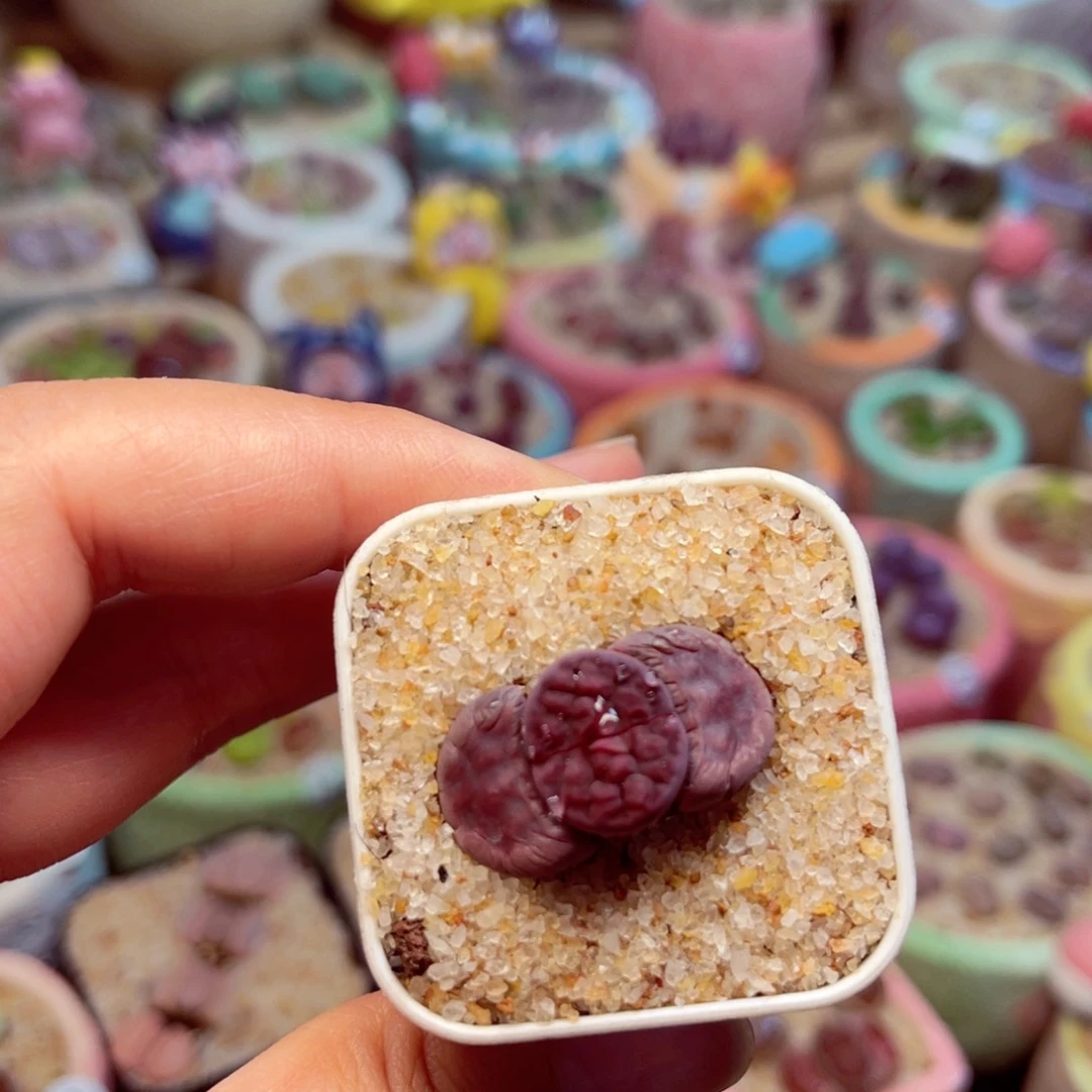 043。88888888888888888