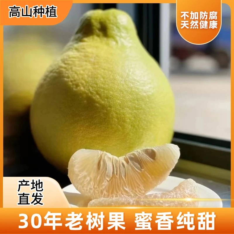 【花皮果纯甜无酸】正宗梅州沙田柚新鲜产地直发当季水果