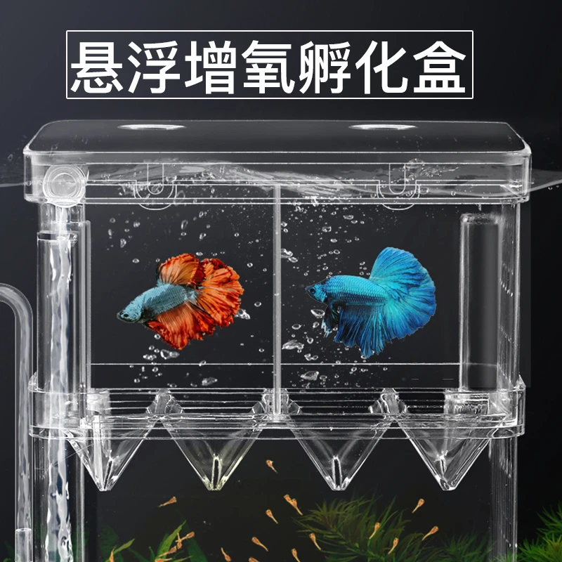 【宠大条】幼鱼孵化盒双层隔离盒斗鱼盒隔离网产卵挂式孵化器