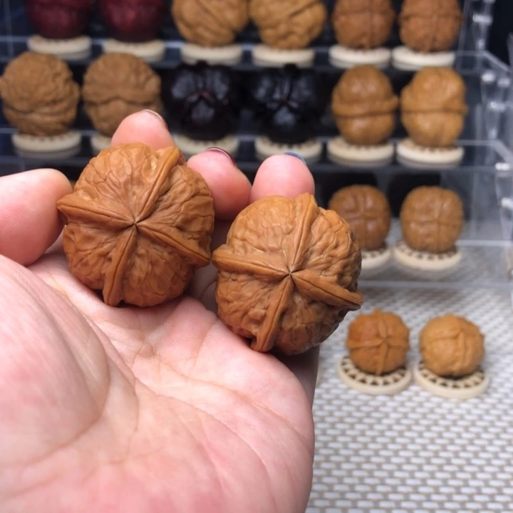 s***e把件文玩核桃100金龙抱玺