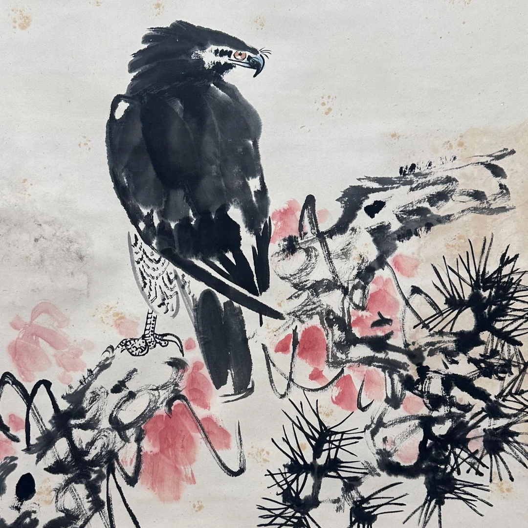 DZ11422 鹰 57*77 纸本