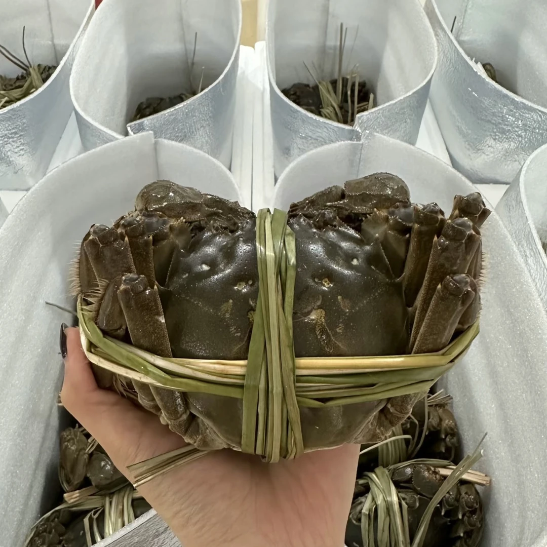 【精品大闸蟹】少爪蟹2.5两-3.0两左右全母蟹5只（可自提/可配送）