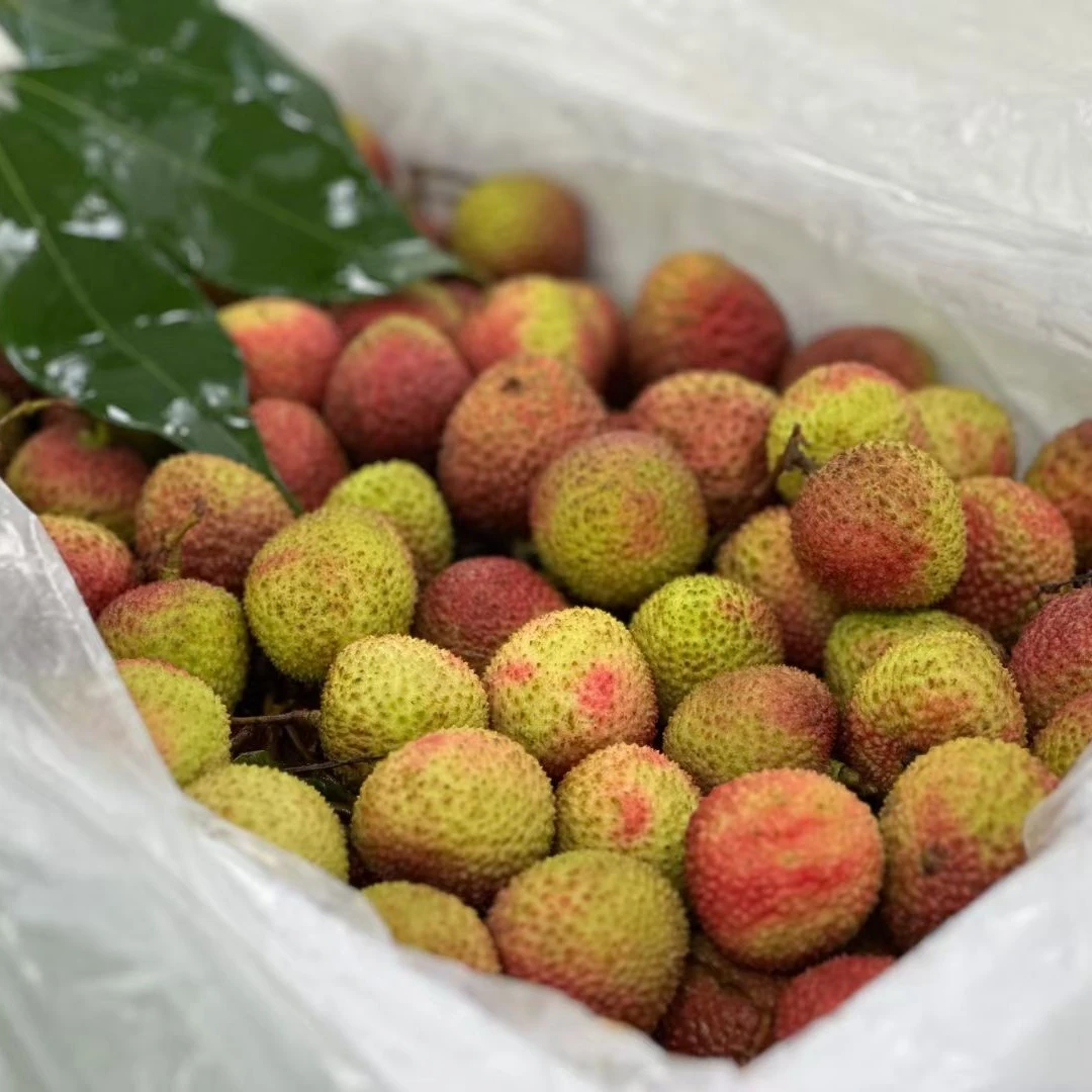 妃子笑荔枝荔枝同城送广东省