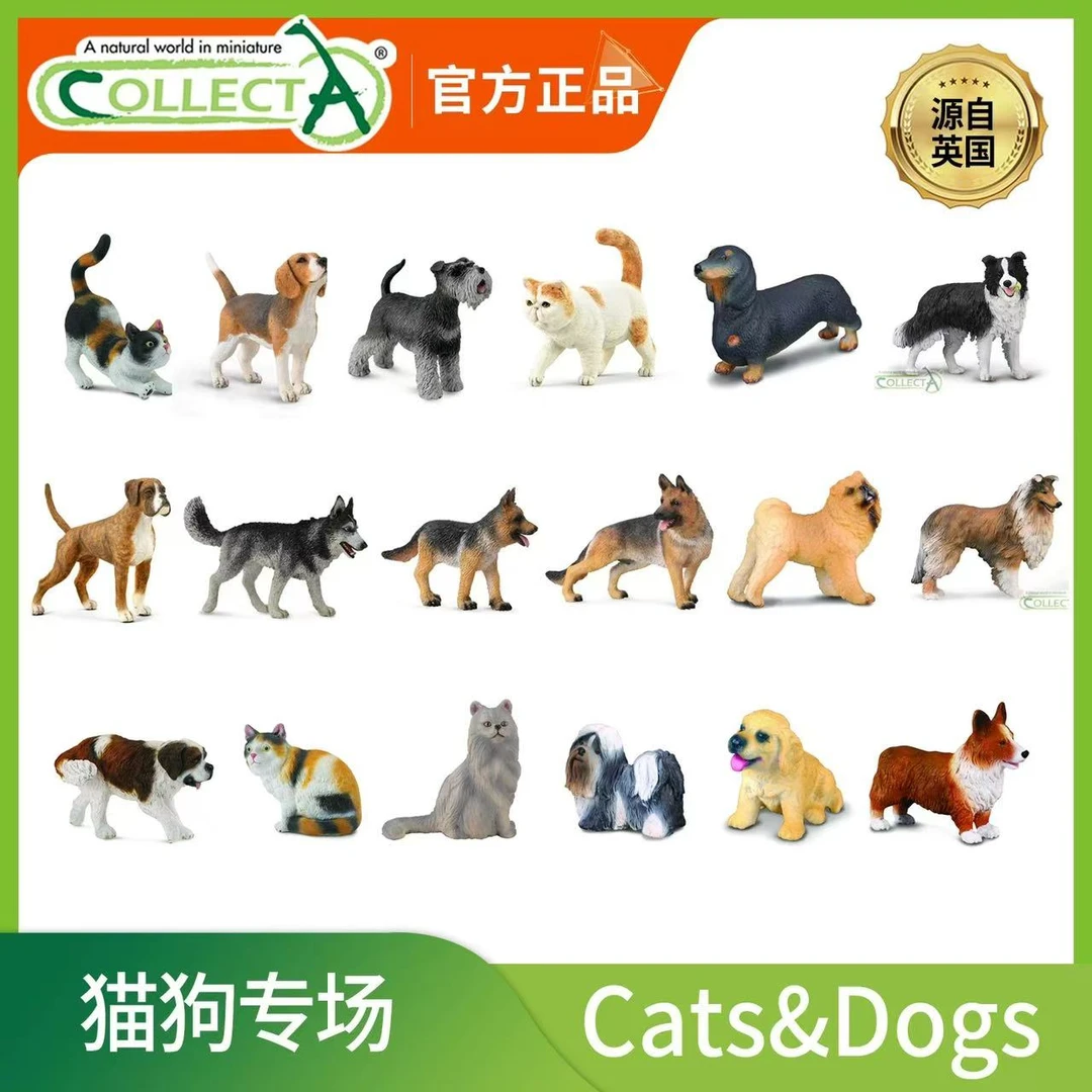 Collecta[猫狗系列]仿真动物模型 早教认知 亲子玩具 周岁礼物