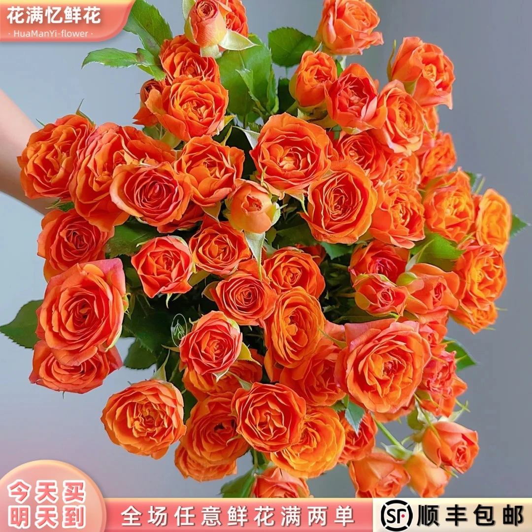次日达 -【橙色芭比】5枝多头玫瑰鲜花鲜切花家居用花批发任意两单升级顺丰包邮三单送随机花瓶今天拍明天到ee