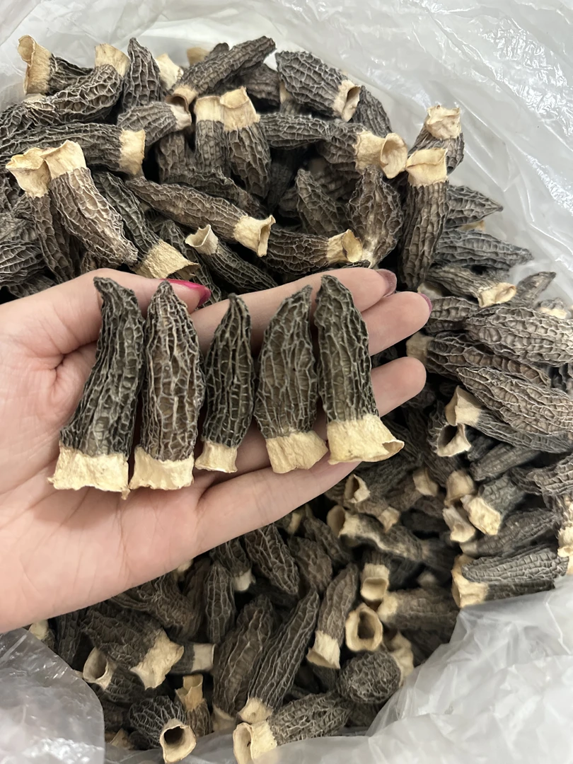 (特价净重发货)2-4精品头茬羊肚菌六妹干货营养煲汤产地直销