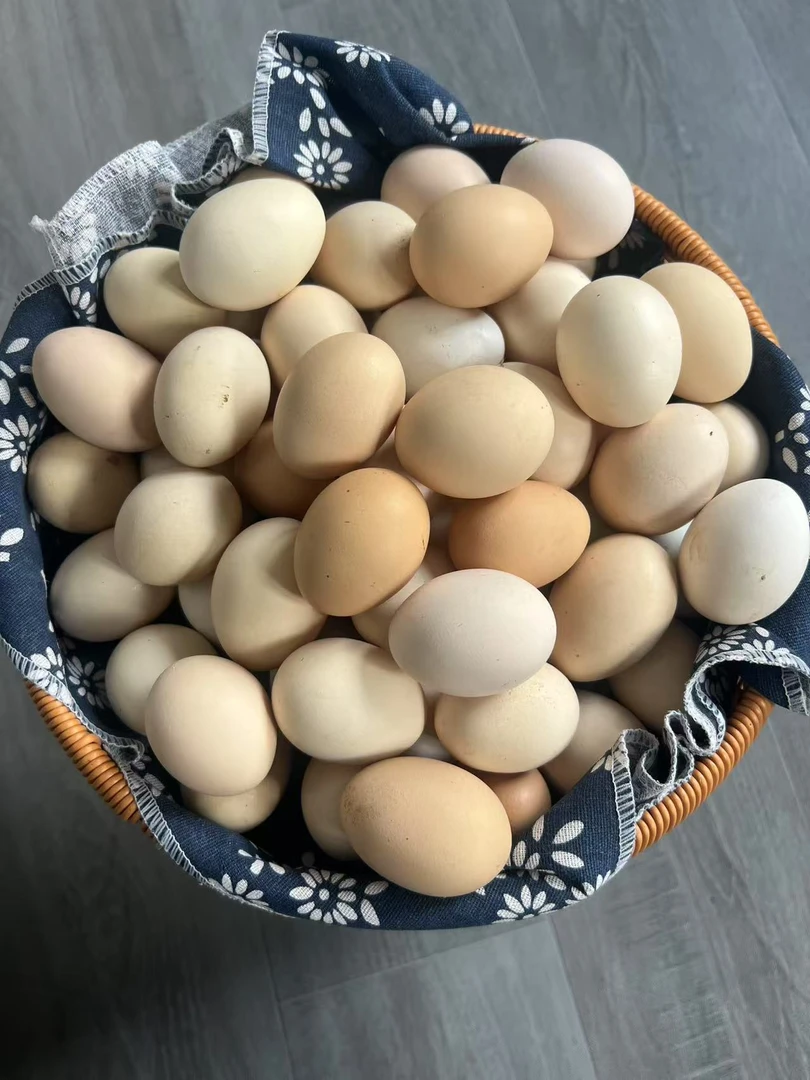 果树下散养土鸡蛋粉壳蛋吃虫草纯粮的土鸡蛋