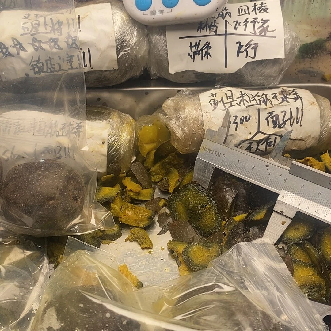 S***g出男男女女坎坎坷坷家