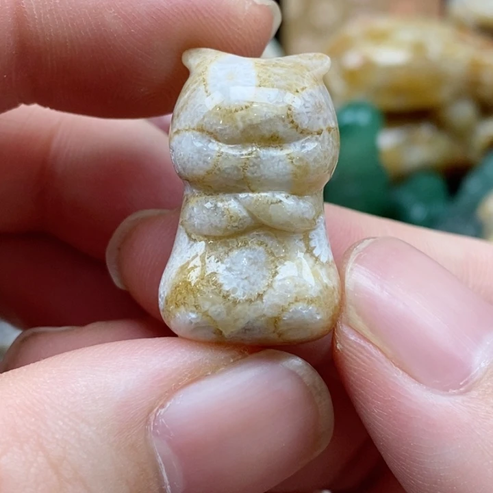 硅化珊瑚（珊瑚玉）颈饰未镶嵌