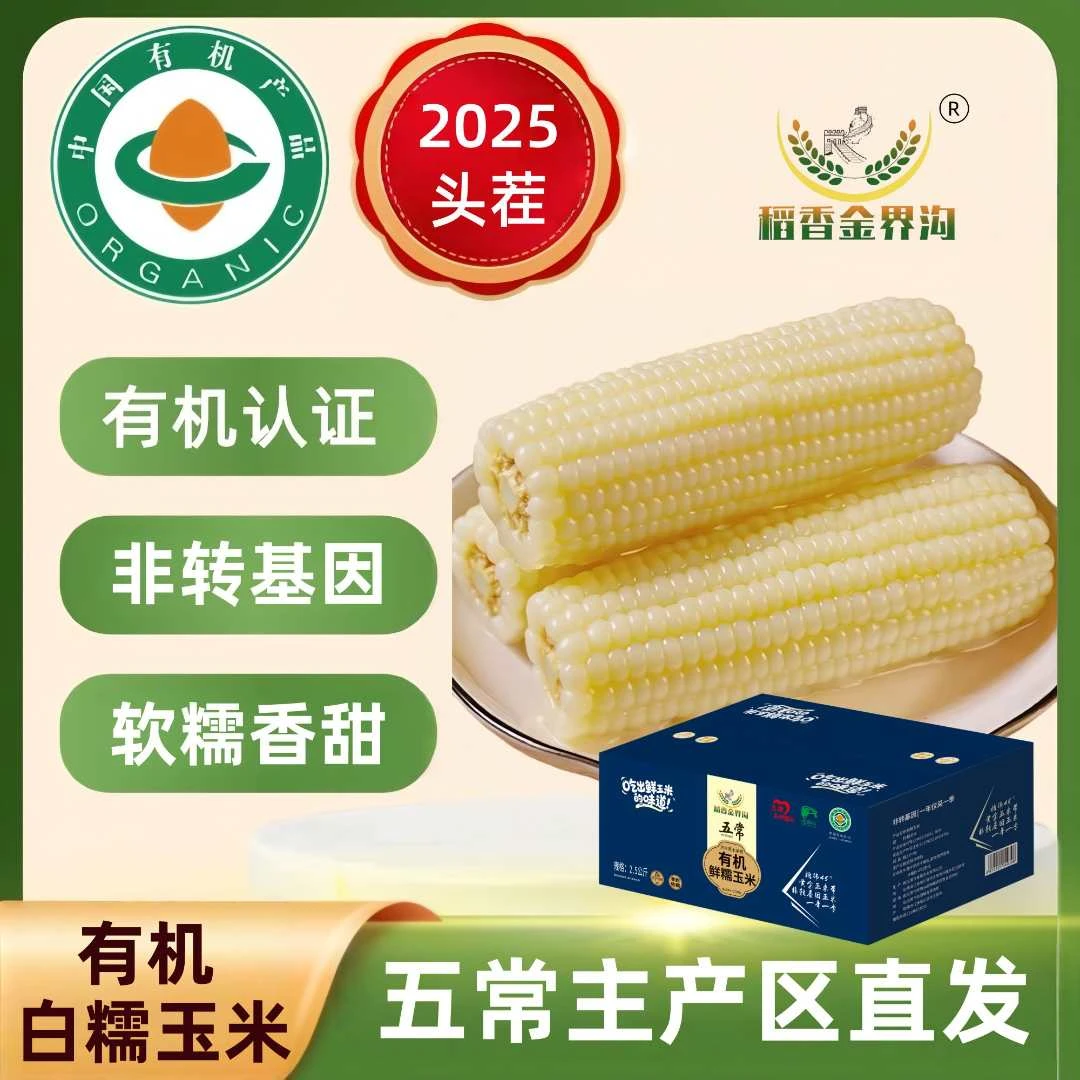 【稻香金界沟】东北新季【有机】白糯玉米280g-350g*10根香甜软糯