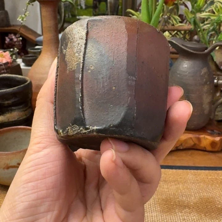 铃木美基主人杯福利一口价