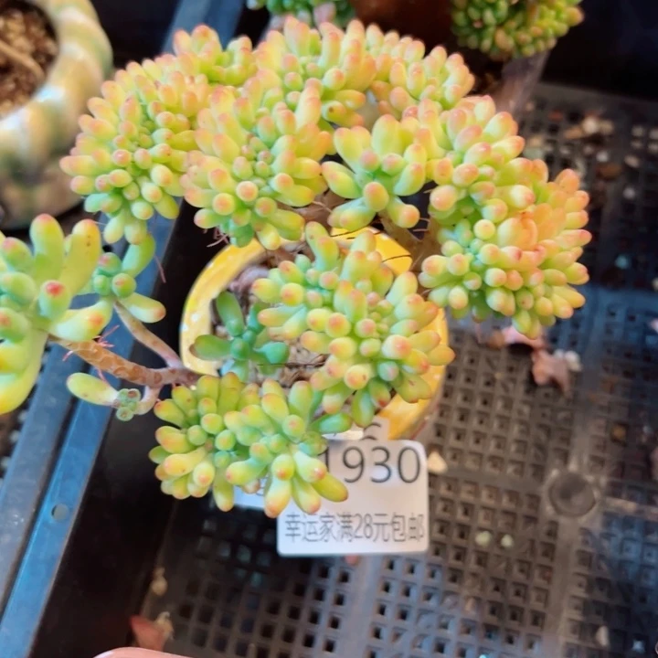 幸运的是我还没遇到