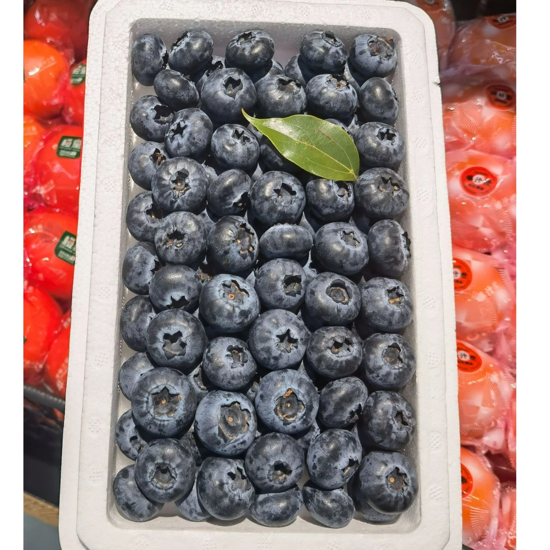 优瑞卡蓝莓约500g 盒 25-30mm 丹东