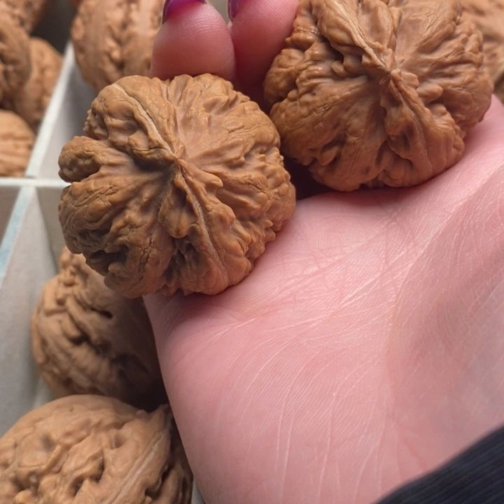 三***九吊坠文玩核桃霸王龙