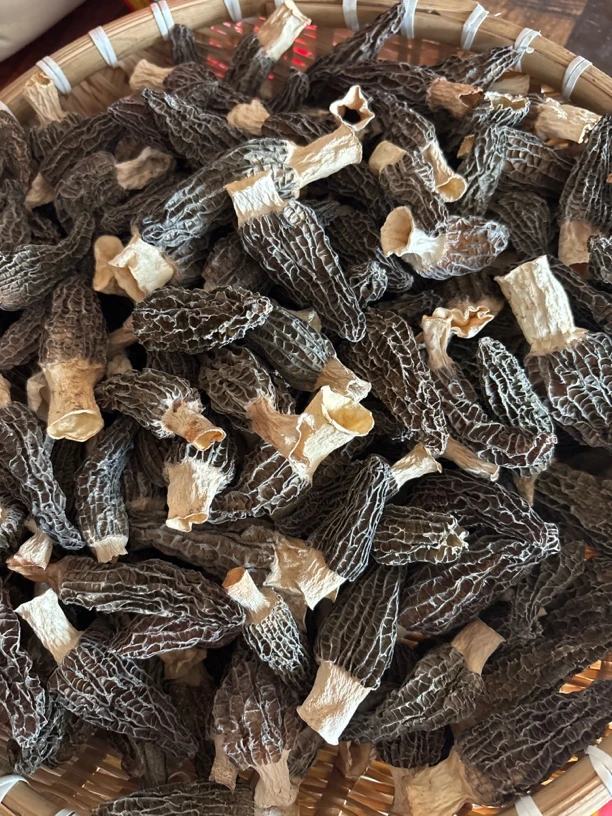 农家干羊肚菌煲汤