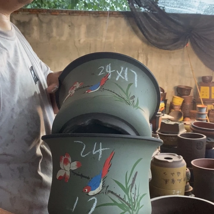 紫砂花盆盆栽花卉种植
