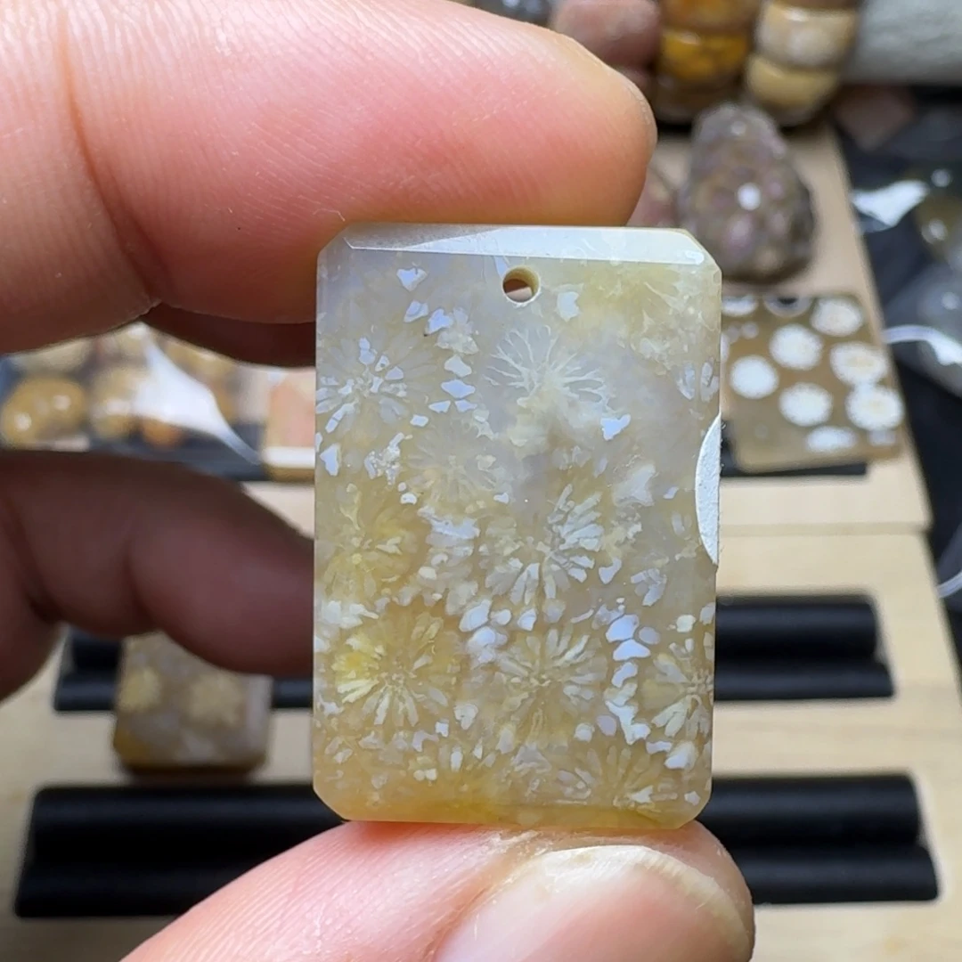 硅化珊瑚（珊瑚玉）未镶嵌纯天然色有机玉石保真色