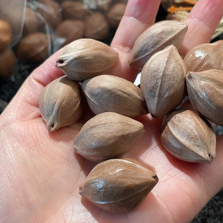 剑***心吊坠橄榄核2.0✖️3.1