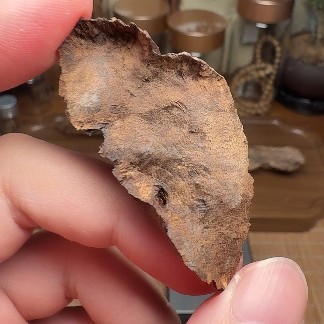 沉香4.06g沉水海南熟结老料