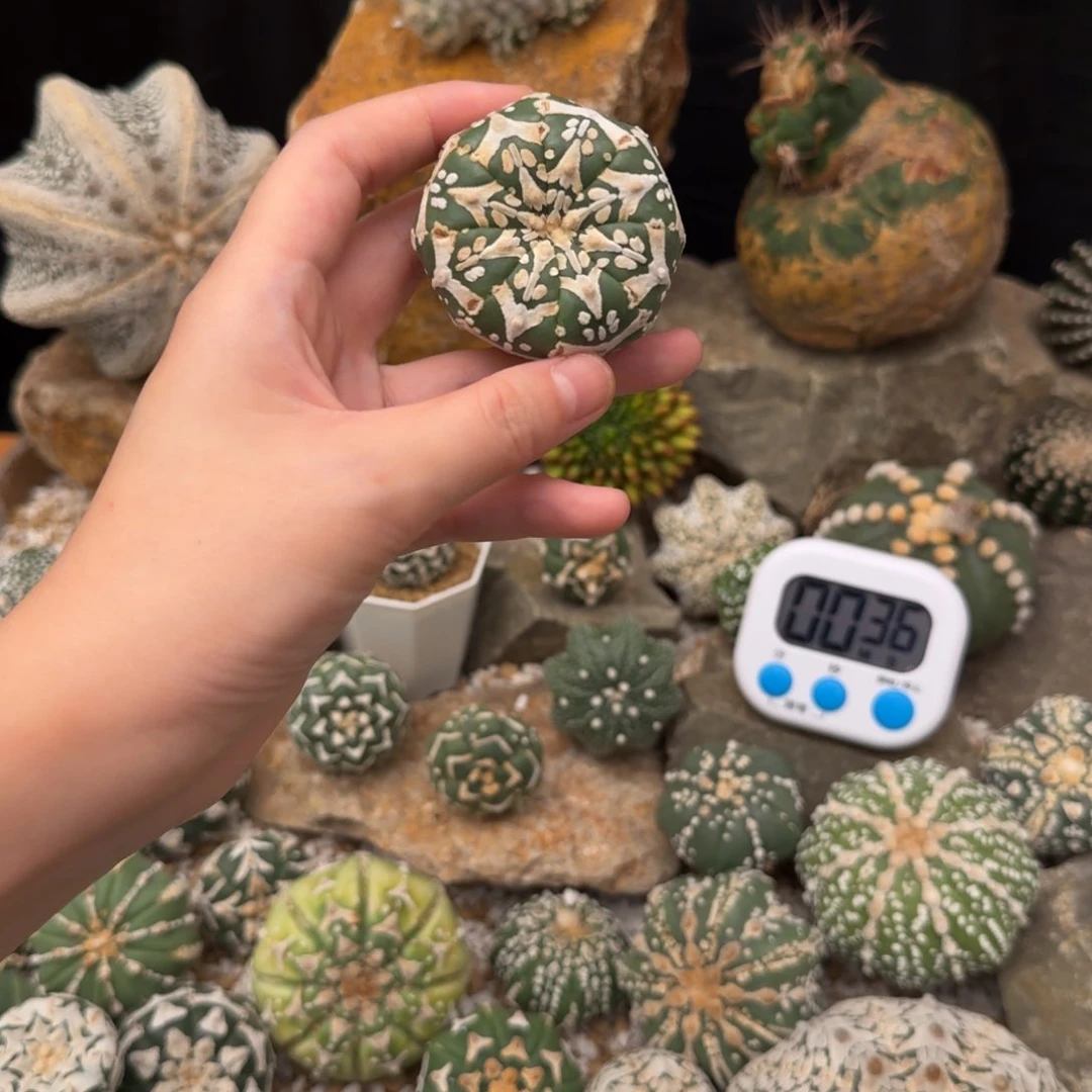 A***9v兜哈哈哈哈哈哈哈