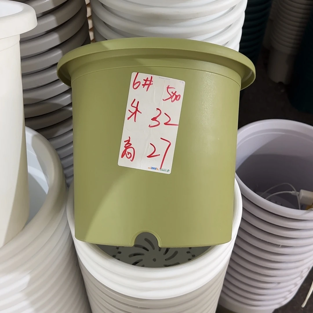 微瑕6号无托，果绿5个