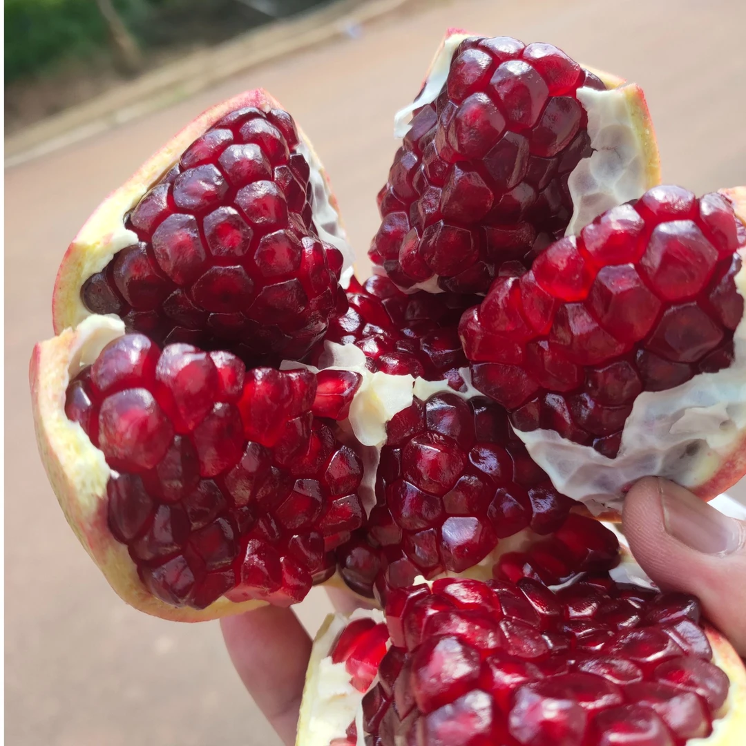 云南永仁软籽石榴新鲜当季皮薄肉厚香甜多汁 5斤装asyx