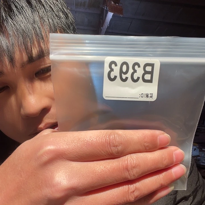 大果紫檀（缅甸花梨）393