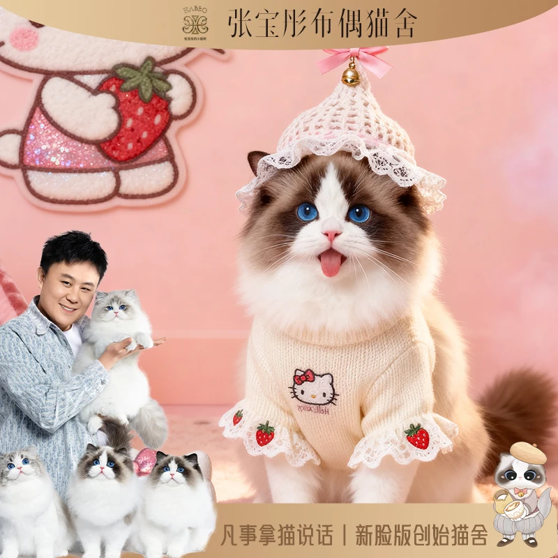 张宝彤布偶猫舍-莉萝妹妹 | 新脸版创始猫舍