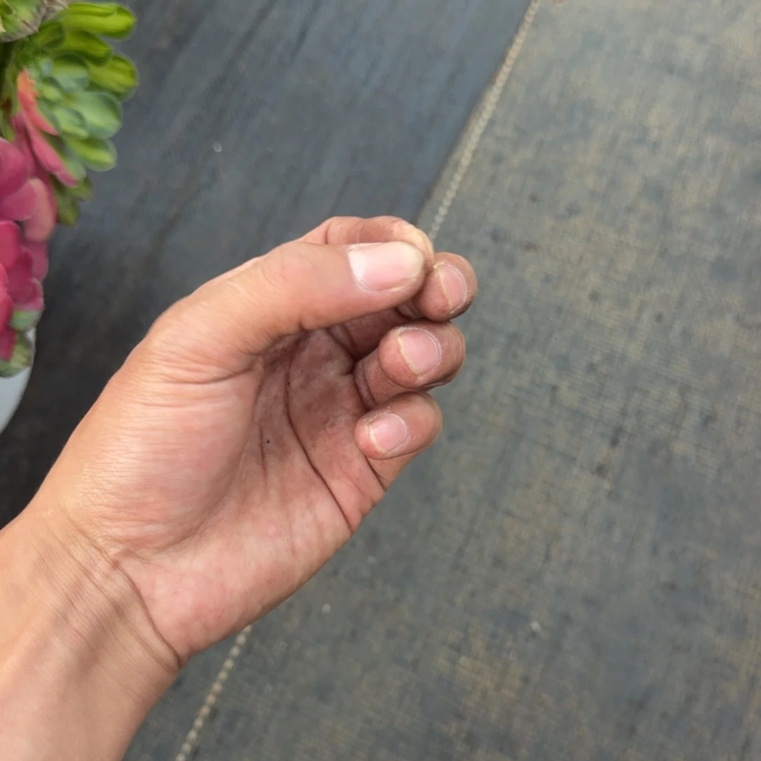 叶***子无花朵vvvvvvvvvvv