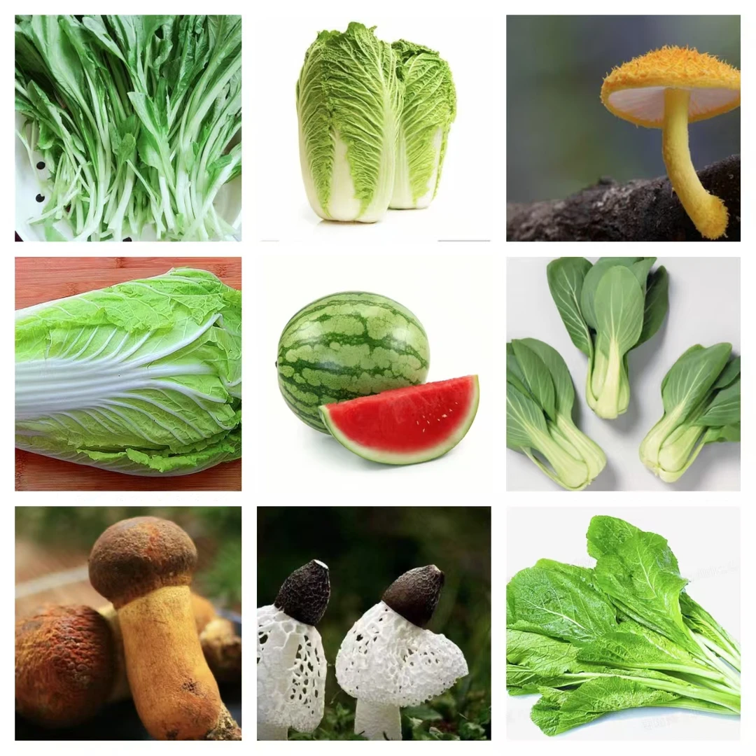 1【灵-露-仙-株】净含量：100-1000g【小田现收】枸杞