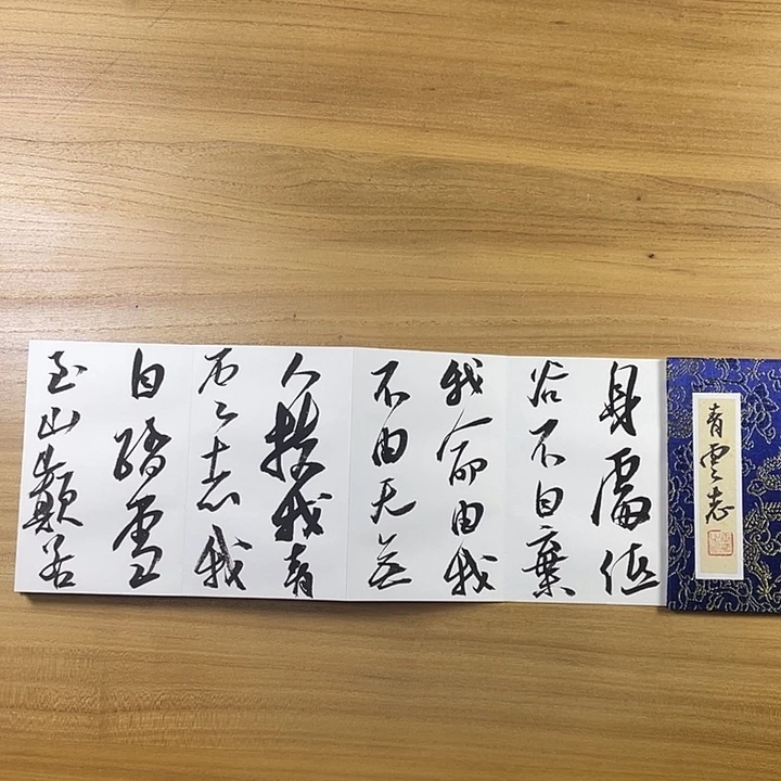 书法中书协会员作品