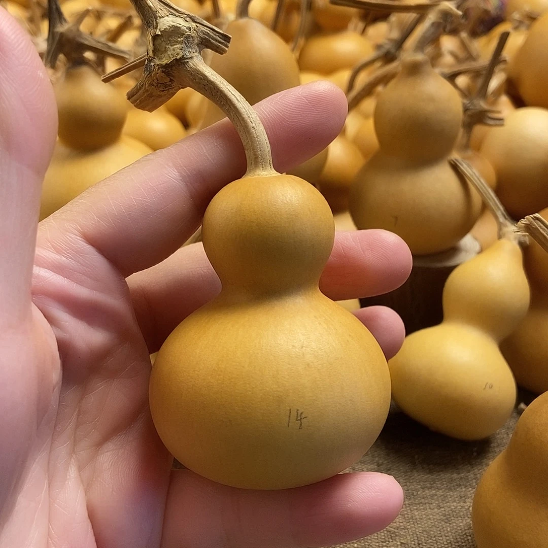 文玩葫芦 完美主义者 慎拍14