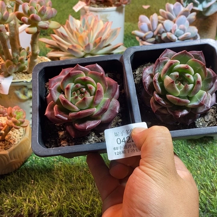 ****0422啊啊啊啊啊啊啊啊啊