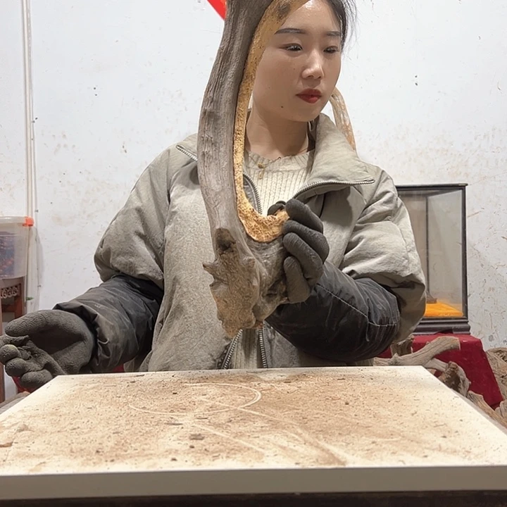 柏木古**香我们的生活也