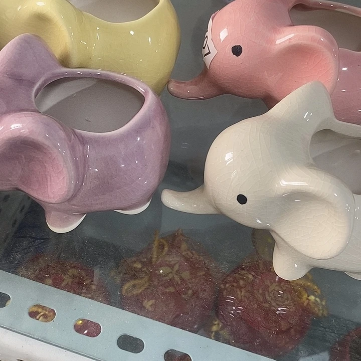 花盆抢购清货马上开始