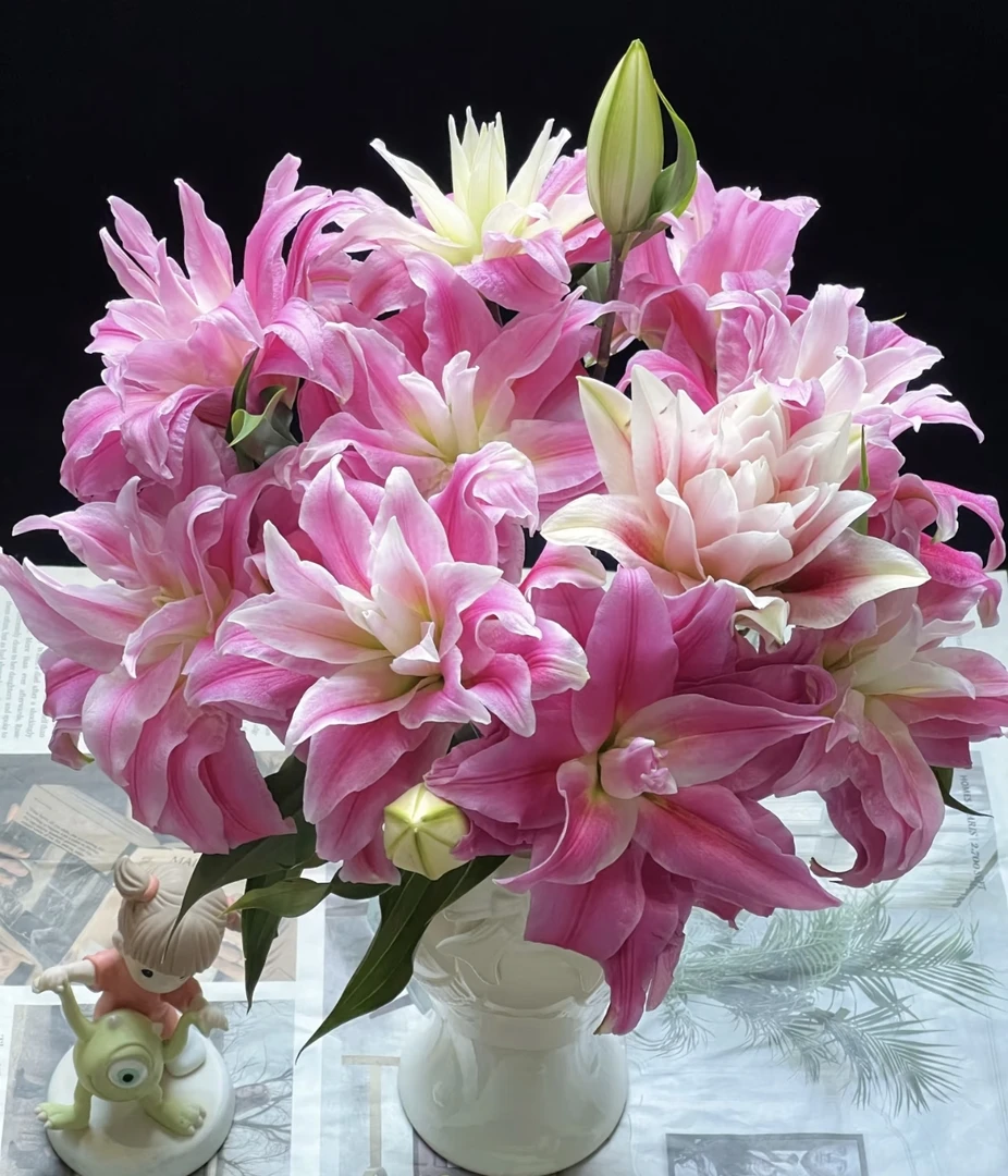 3头红丝带重瓣香水百合新鲜百合花5枝（任意两单，顺丰冷链包邮）