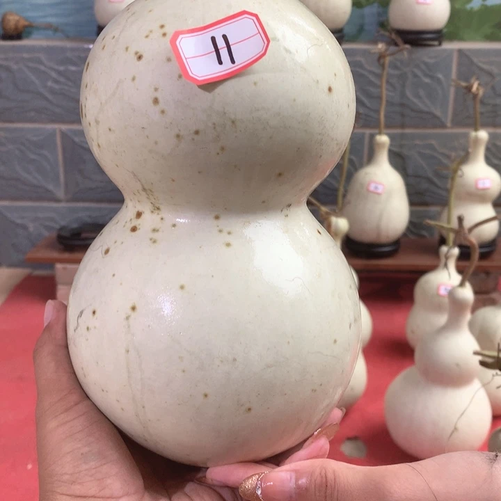 时***酒中号现货供应充足