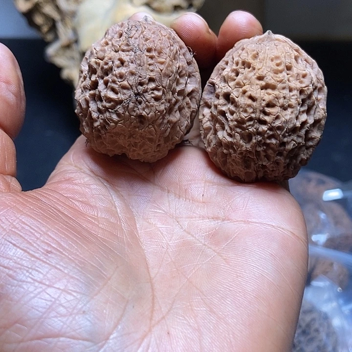 把件文玩核桃云南铁核桃基地73