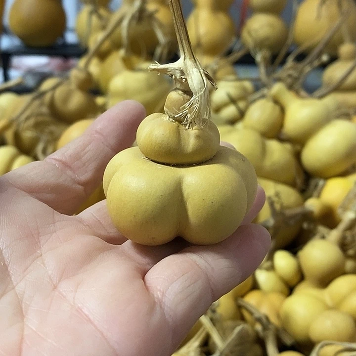 葫芦的颜色是蓝色的